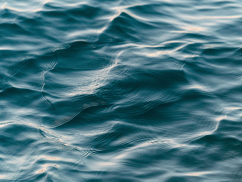 zee water